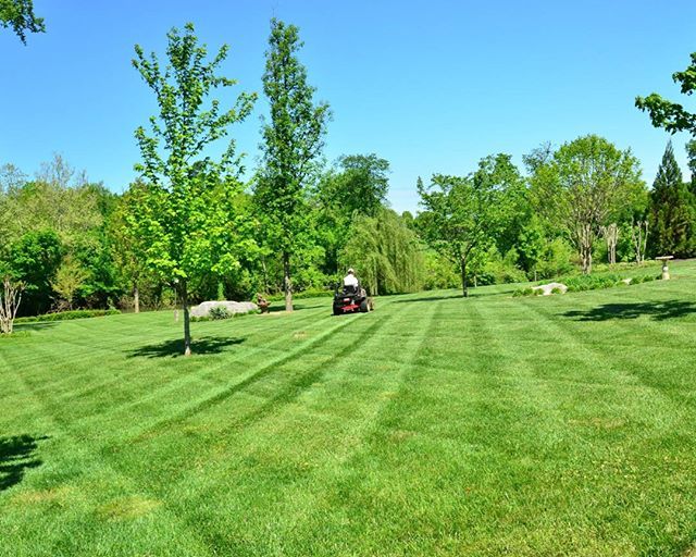 Amerigrow Lawn & Garden Products - Small Businesses